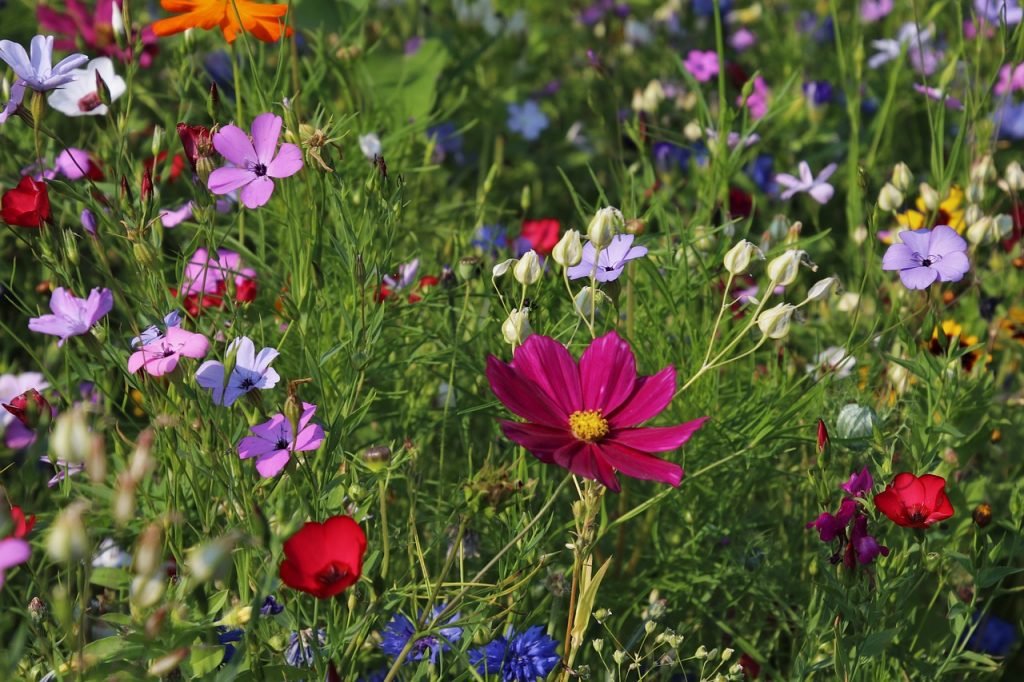Horoskop Woche 33