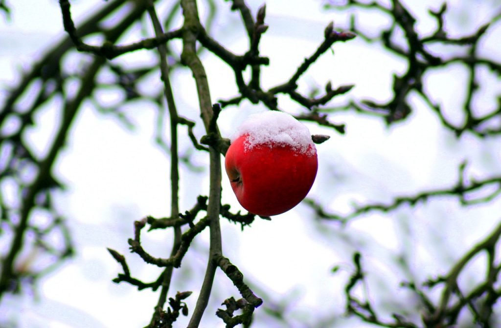 Wochenhoroskop (28. Januar bis 3. Februar)