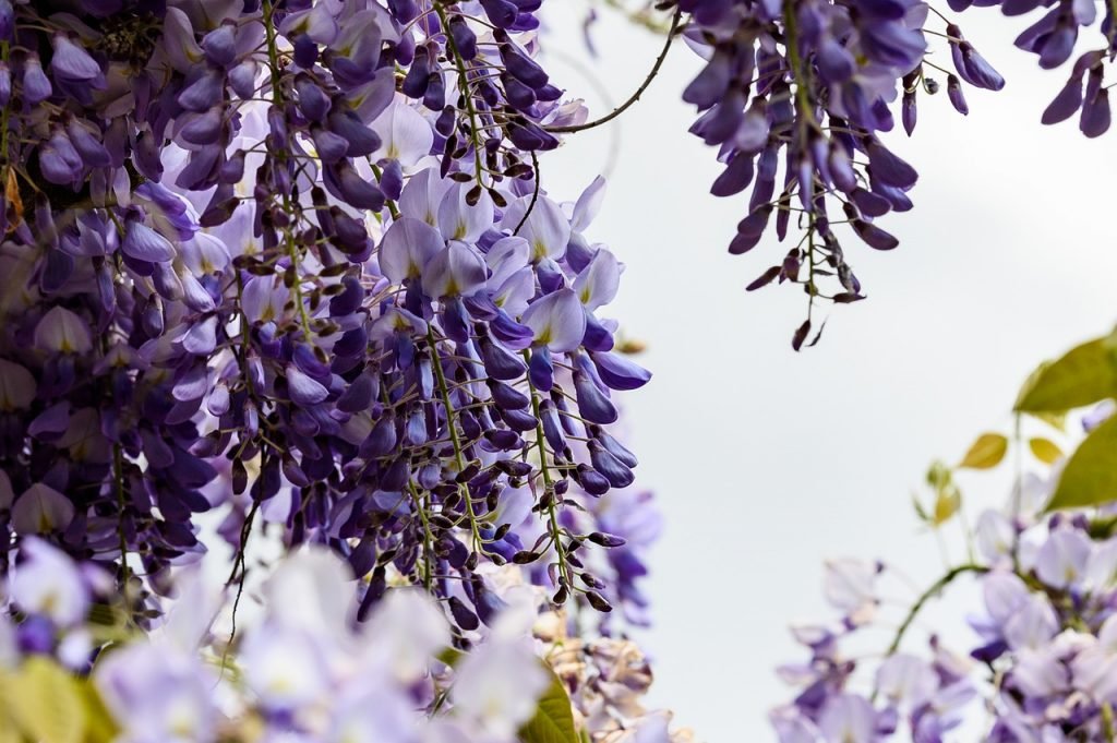Wochenhoroskop (3. bis 9. Juni)