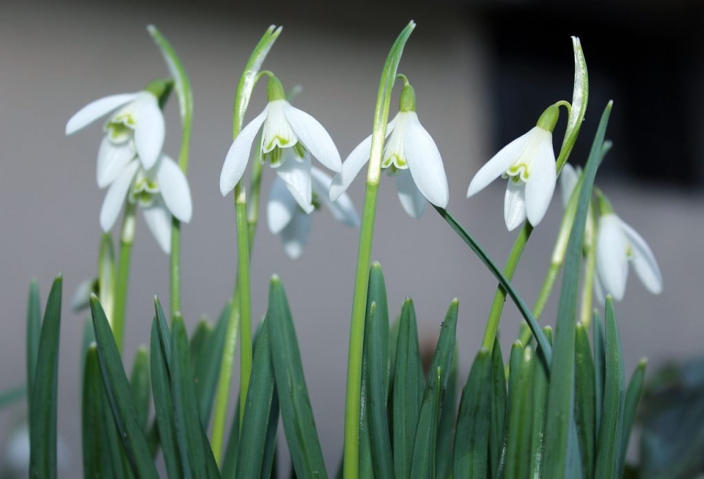 Wochenhoroskop (27. Januar bis 2. Februar)