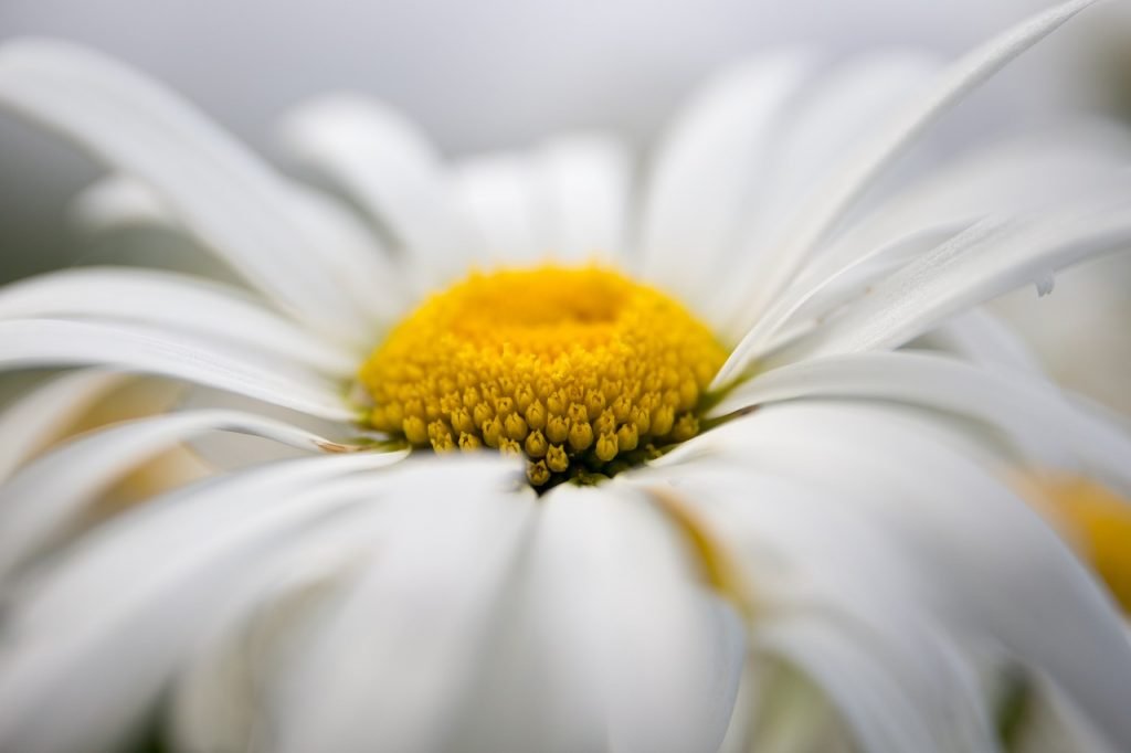 Wochenhoroskop (1. bis 7. Juni)